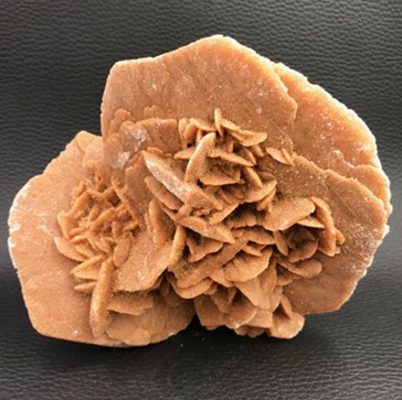 Rose des Sables